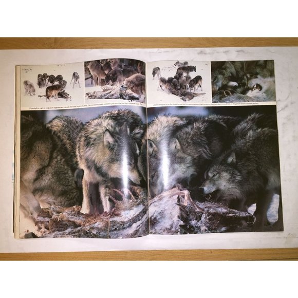 Vintage March 1979 LIFE Magazine- Lesley Anne Down - Picture 10 of 16